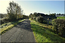 H4963 : Rosaleen Road, Letfern by Kenneth  Allen