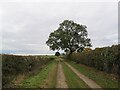 SK5577 : Path to Ratcliffe Grange Farm by Stephen Ostler