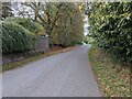 Lane at Castlemorton