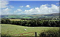 Girvan Valley view 1998