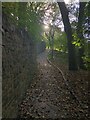 Cobbled footpath skirting edge of Brough Park