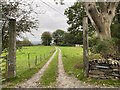 Track to Hafod Cae Maen