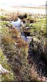 SD9587 : A stream on Thornton Rust Moor north of Stony Rigg by Luke Shaw