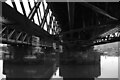 Railway Bridges over the River Forth, Lovers Walk, Stirling