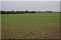 Field by Water Moor Lane