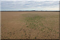 TF9446 : Sandflats north of Warham Salt Marshes by Hugh Venables