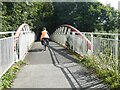 Foot and cycle bridge over River Tavy