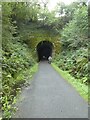 SX4971 : The tunnel at Grenofen on Drake's Trail by David Smith