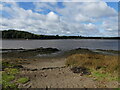 SN0010 : View across the Cleddau from near Landshipping Quay by Ruth Sharville