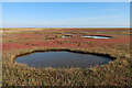 TF9443 : Pools in Warham Salt Marshes by Hugh Venables