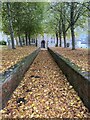 Churchyard in autumn