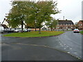 Green space on Botfield Road