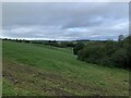 View towards Bryn-y-Maen farm