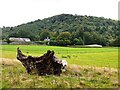 Farmland at Gorddinog