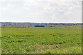 Farmland, Chapel Bank Farm