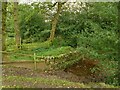 Small dam above Wood Cottage