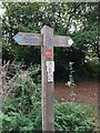 TQ7615 : Footpath Signpost by John P Reeves