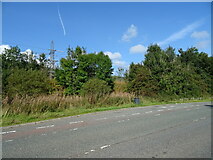 NT0308 : Woodland and pylon beside the B7076 by JThomas