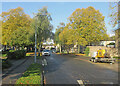 Lichfield Road: sunlight after rain