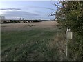 TL2649 : Farmland by Clopton Way by Philip Jeffrey