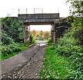 Through the bridge to the Nature Park