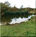 Pond in Old Mine Nature Park