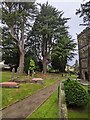 ST3398 : Dominant churchyard trees, Coed-y-Paen, Monmouthshire by Jaggery