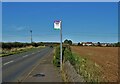 Bus Stop by Peter More Hill