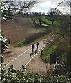 Hollis Lane from the Kenilworth Greenway