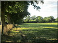 Footpath to Colwall