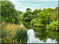 River Nene