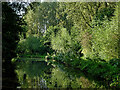 Canal near Weeping Cross, Stafford