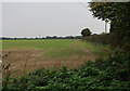 TF9330 : Field by Rudham Stile Lane by Hugh Venables