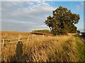 Fields by Banbury Road, Wormleighton