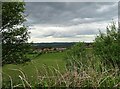 Looking over to The Dene