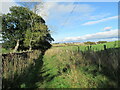 Path between Lanark and Robiesland