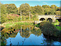 Burrs Mill Pond