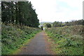 Path at Blairmount Park, Newton Stewart