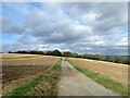 Footpath to Rounden Wood