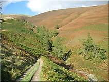 NY2825 : The Cumbria Way above Whit Beck by Adrian Taylor