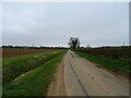 Moor Lane towards Dorrington