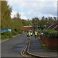 Dock Meadow Drive in Lanesfield, Wolverhampton