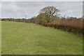 Field boundary footpath