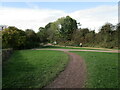 Meeting of paths at the edge of Brierley Forest Park