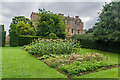 The Kitchen Garden