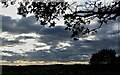 View of 1066 battlefield from Sedlescombe