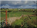 Farm boundatry dry stone wall running between Burrenbridge Road and the Burren River