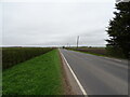 A153, Anwick Fen