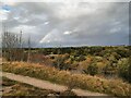 View over River Tyne from the Spetchells