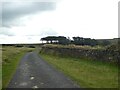 Boundary wall by Portland Lane on Ringmoor Down